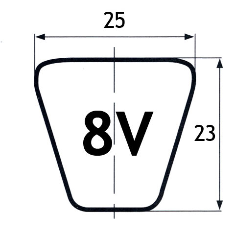 cinghie 8V