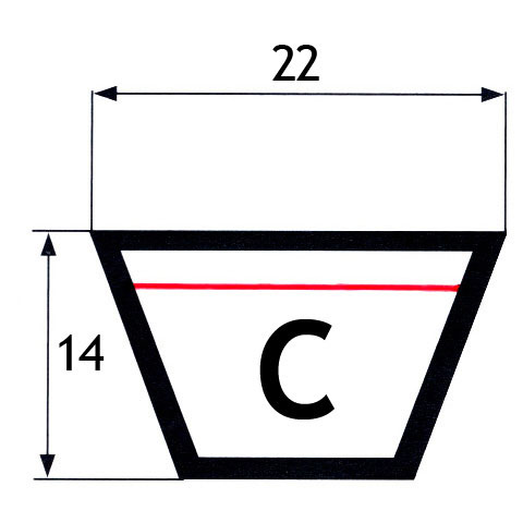 cinghie C