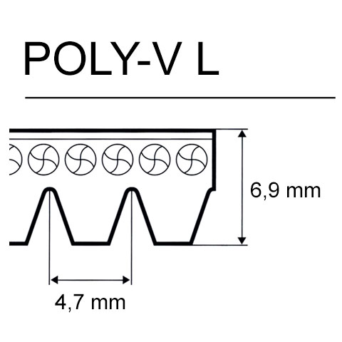 cinghie Poly-V L