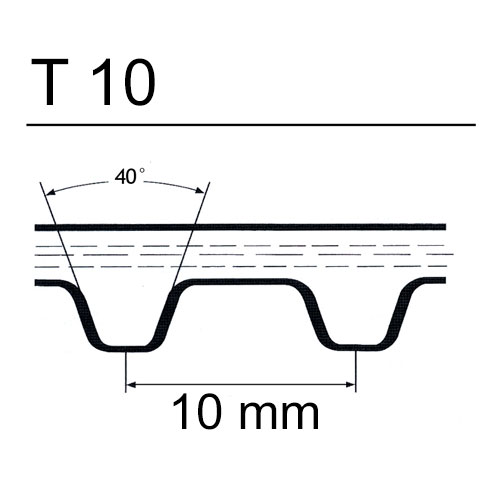 cinghie T10