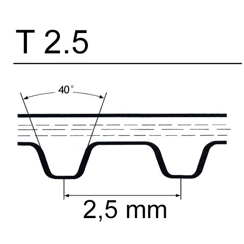 cinghie T2,5