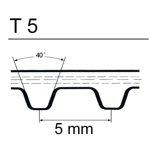 cinghie T5