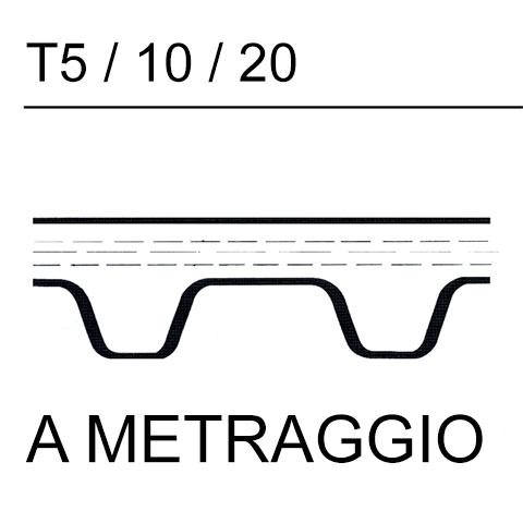 cinghie T 5/10/20 a metraggio