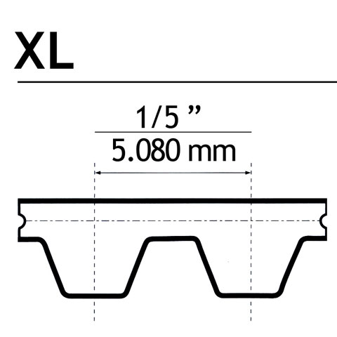 cinghie XL