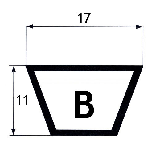 cinghie B
