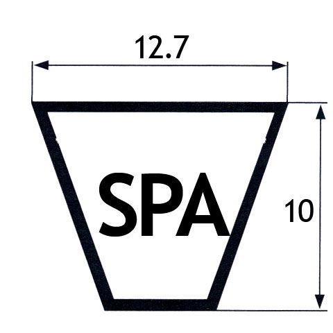 cinghie SPA